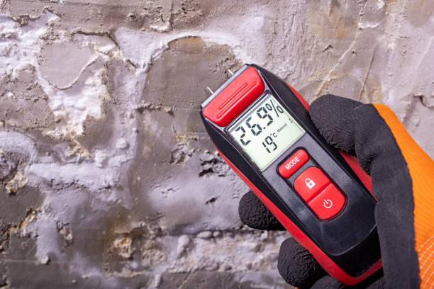 Best Health and Safety Mold Remediation in Kaufman, TX
